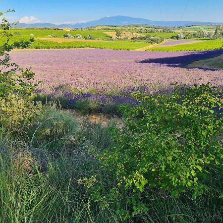 Gite Du Domaine Jaume Vinsobres Ngoại thất bức ảnh
