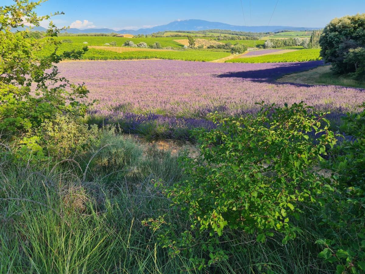 Gite Du Domaine Jaume Vinsobres Ngoại thất bức ảnh
